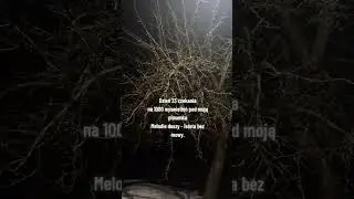 Dzień 23 a ja polubiłam wieczorne spacery :)