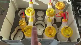 Роджер использует крышку GluBot Tip Lid