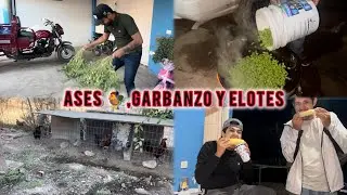 LA YUCA NOS MUESTRA SUS ASES DE CARRERAS . HUBO GARBANZOS Y ELOTES DE TEMPORADA /ELSACALAAAOFICIAL