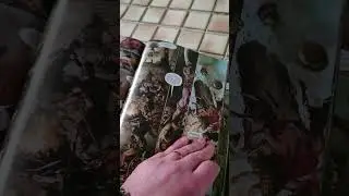 Slaine complete custom bound collection.