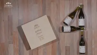 &Sigma;&upsilon;&lambda;&lambda;&epsilon;&kappa;&tau;&iota;&kappa;έ&sigmaf; &phi;&iota;ά&lambda;&epsilon;&sigmaf; &Beta;&iota;&delta;&iota;&alpha;&nu;ό, 4 &delta;&iota;&alpha;&phi;&omicron;&rho;&epsilon;&tau;&iota;&kappa;έ&sigmaf; &epsilon;&sigma;&omicron;&delta;&epsilon;ί&epsilon;&sigmaf; &sigma;&epsilon; &xi;ύ&lambda;&iota;&nu;&eta; &kappa;&alpha;&sigma;&epsilon;&tau;ί&nu;&alpha;