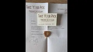 Nuno Marinho 360&ordm; Magic Pick for Gypsy Jazz Guitar (Django Reinhardt Pick)