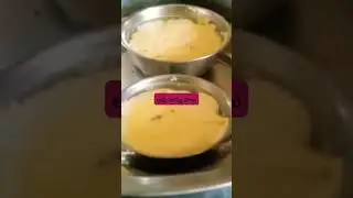 Cow cheese milk yogurt #india