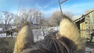 Runaway With Wind In Your Hair Horse Riding