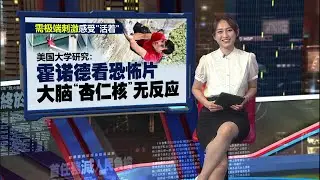 91分钟登顶征服台北101创纪录   霍诺德有特异功能？| 新闻报报看 26/01/2026