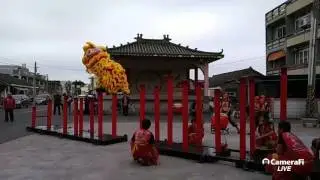 瀛洲兩廣醒獅團~大年初六雲林虎尾廉使林家前來雲林虎尾廉使永興宮進香(20170202)