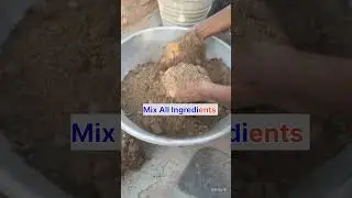 Juniper or Cypress Plant Repotting || Juniper or Cypress Plant care Fertilizer ||How To Grow || soil