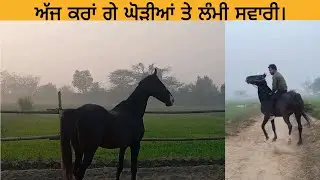 ਅੱਜ ਕਰਾਂ ਗੇ ਘੋੜੀਆਂ ਤੇ ਲੰਮੀ ਸਵਾਰੀ।