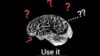 iq test time 😎