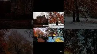 November, the start of freezing weather👀(part-11) #aesthetic #november #winter #trending #shortsfeed