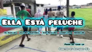 ELLA ESTA PELUCHE - EL FAVO RD X ELL REY MARTINEZ X TERRY FAN X DONMELE86 X ISIDRO28(VIDEO OFICIAL)