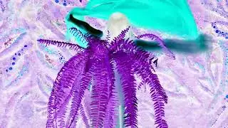 INTERBIOLOGICAL #interbiological