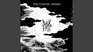 The Coming Swarm