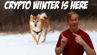 Crypto Winter is Here