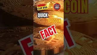 144,000 Bitcoin Bust: FBI Crypto Fortune ✅ #shorts #btc