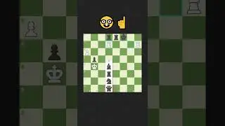 THİS BEAUTİFUL END GAME TRİCK WİLL SHOCK YOU #chess