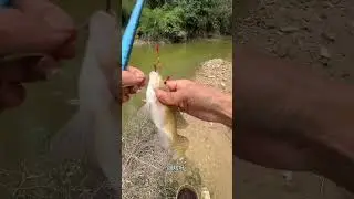 Traditional Countryside River Fishing  Village Life & Survival Skills