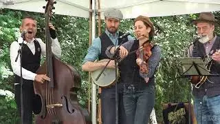 Wasel & The Weasels - Pontikkaa (Live at Puistokarkelot)