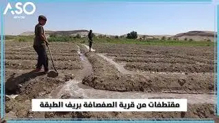 مقتطفات من قرية الصفصافة بريف الطبقة