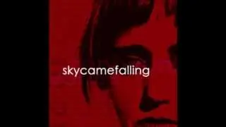 Skycamefalling - With Paper Wings