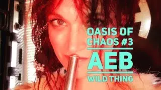 Wild Thing (Troggs Cover) AeB Live from The Oasis of Chaos #3
