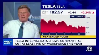 Tesla internal data shows company has cut at least 14% of workforce this year