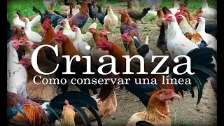 Bienvenido al mundo de la crianza