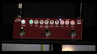 Eko Guitars | BAIO A - Pedale multieffetto per chitarra acustica