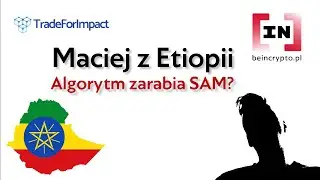 Jak zarabiać algorytmem na Binance? Rozmowa z CEO Trade For Impact. BeInCrypto Pyta.
