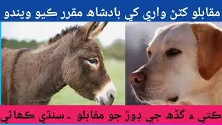 گڏھ ء ڪتي جي ڪھاڻي | ڪتو ء گڏھ | Gadha or kutta | Sabaq amoz kahani | Kahani | Story