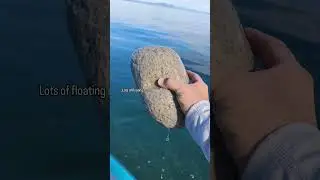 New Zealand Roadtrip camping by Lake Taupo  Motutere Top 10 Holiday Park