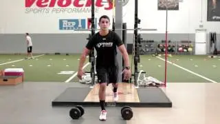 Rear Foot Elevated Split Squat