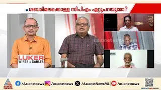 'ഭരണവിരുദ്ധ വികാരം ആഞ്ഞടിച്ചപ്പോൾ ഏറ്റവും മുൻപന്തിയിൽ നിന്നത് ശബരിമലയായിരുന്നു' | Sabarimala | LDF