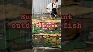 Super giant outdoor 3D fish table #shorts #fishtable #epoxycrafts