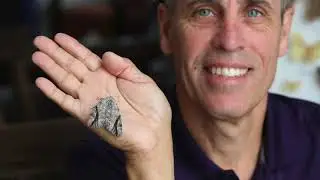 Rare Catocala maestosa moth found in Windsor