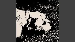 Experimental Relaxing Ambient Music for Unwinding and Meditating, White Noise, Brown Noise Vol...