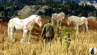 Arthur Morgan Tames Three Beautiful White & Red Tribal Horses at the Broken Tree