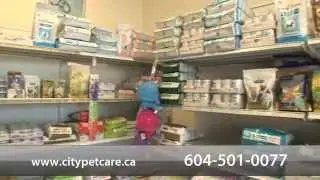 Welcome to City Petcare Animal Hospital Veterinarian for  Surrey, Delta, Langley Bc