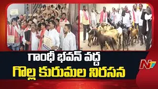 Golla Kuruma Community Leaders Protest At Gandhi Bhavan | NTV Telugu