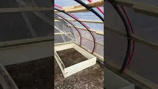 Greenhouse Update #greenhousegrowing #gardening##greenhouse#canada