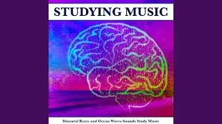 Study Music and Alpha Waves Relaxation