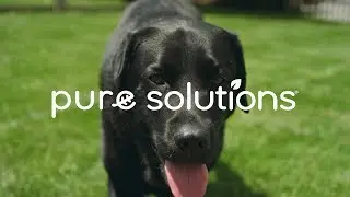 Why Pure Solutions