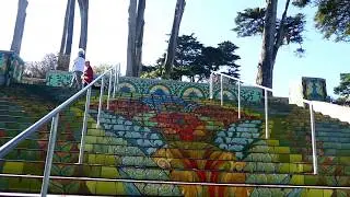 Lincoln Park Steps ~ Patricia Lindberg Photography ~ San Francisco