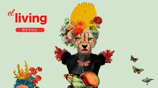 El living | 18-11-2025