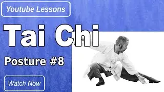 Cheng Man Ching 37 Form Posture 8
