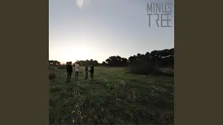 Last Will