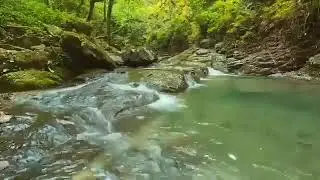 Emotional Reset &ndash; Meditation Music for Healing & Calm