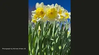 🔴LIVE REQUIEM MASS: R.I.P. MICHAEL JAMES O'HARA - Portsmouth Abbey School Class of 2026 | 10-21-2025