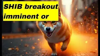 SHIB Breakout Latest Shiba Inu Surge Explained & SHIB Breakout Signals for 2025 Crypto Rally Insig