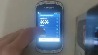 Samsung Galaxy Music GT-S6010 Notifications
